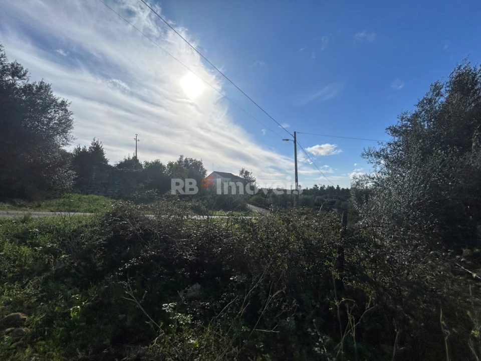 Terreno para Venda em Além da Ribeira e Pedreira Foto 8