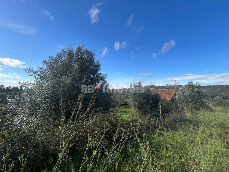 Terreno para Venda em Além da Ribeira e Pedreira Foto 5