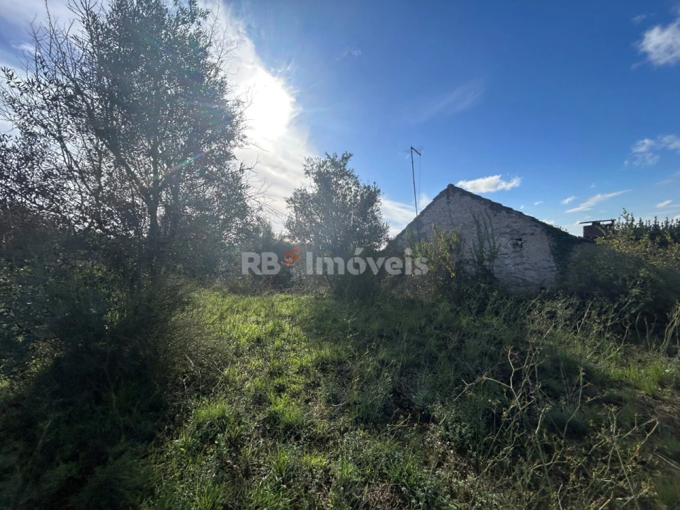 Terreno para Venda em Além da Ribeira e Pedreira Foto 19