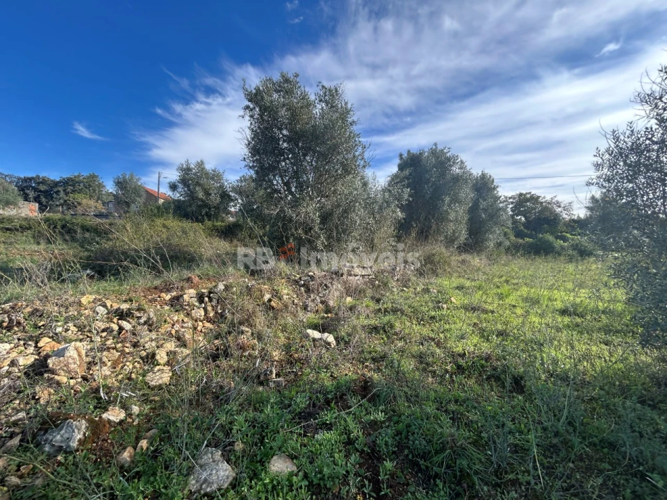 Terreno para Venda em Além da Ribeira e Pedreira Foto 22
