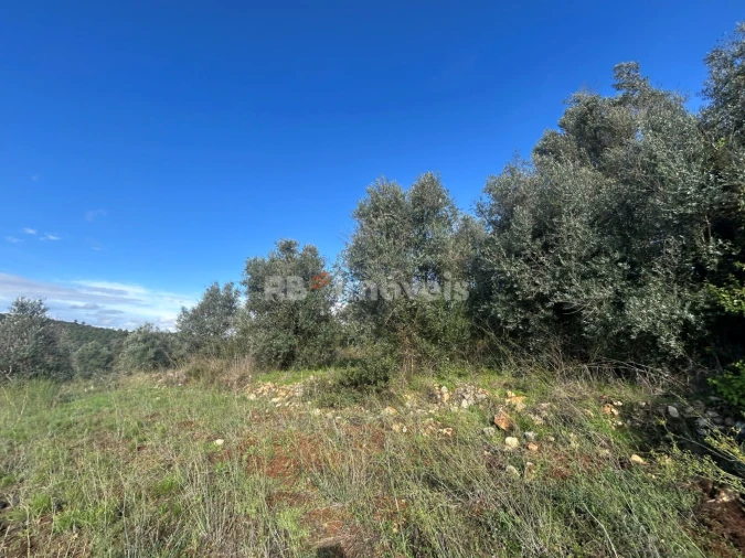 Terreno para Venda em Além da Ribeira e Pedreira Foto 3