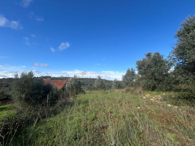 Terreno para Venda em Além da Ribeira e Pedreira Foto 4
