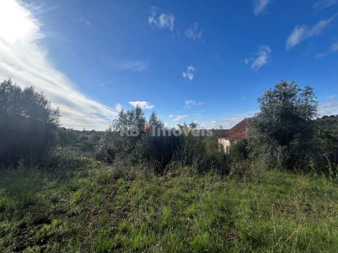 Terreno para Venda em Além da Ribeira e Pedreira Foto 17