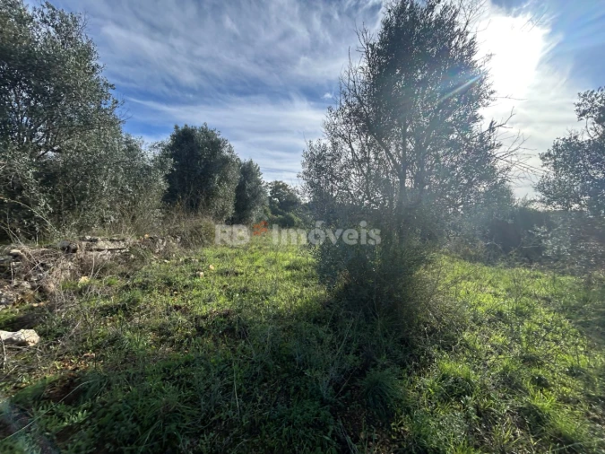 Terreno para Venda em Além da Ribeira e Pedreira Foto 23