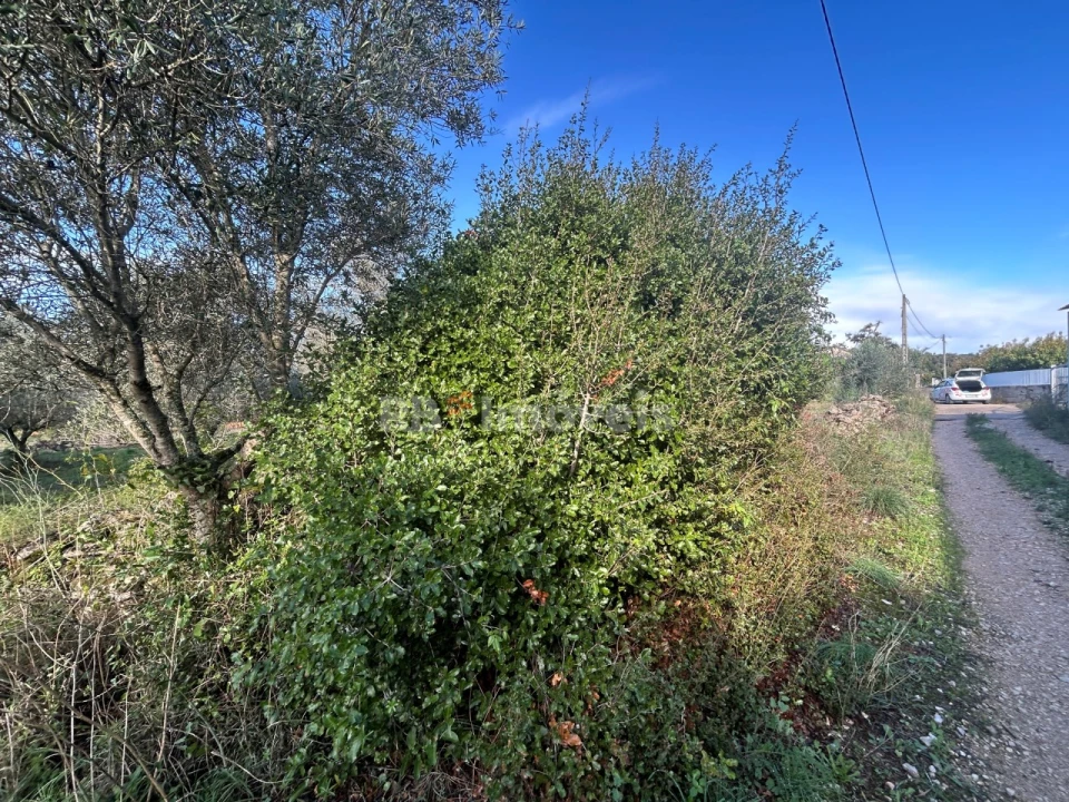 Terreno Agricola ou Rústico para Venda em Além da Ribeira e Pedreira Foto 5
