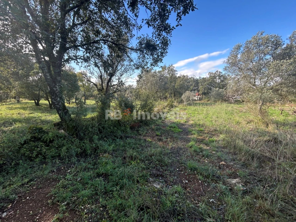 Terreno Agricola ou Rústico para Venda em Além da Ribeira e Pedreira Foto 3