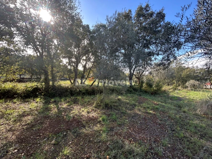 Terreno Agricola ou Rústico para Venda em Além da Ribeira e Pedreira Foto 6