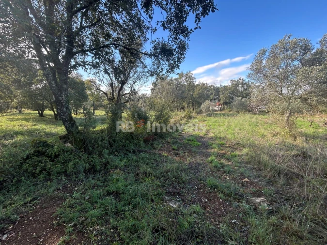 Terreno Agricola ou Rústico para Venda em Além da Ribeira e Pedreira Foto 3