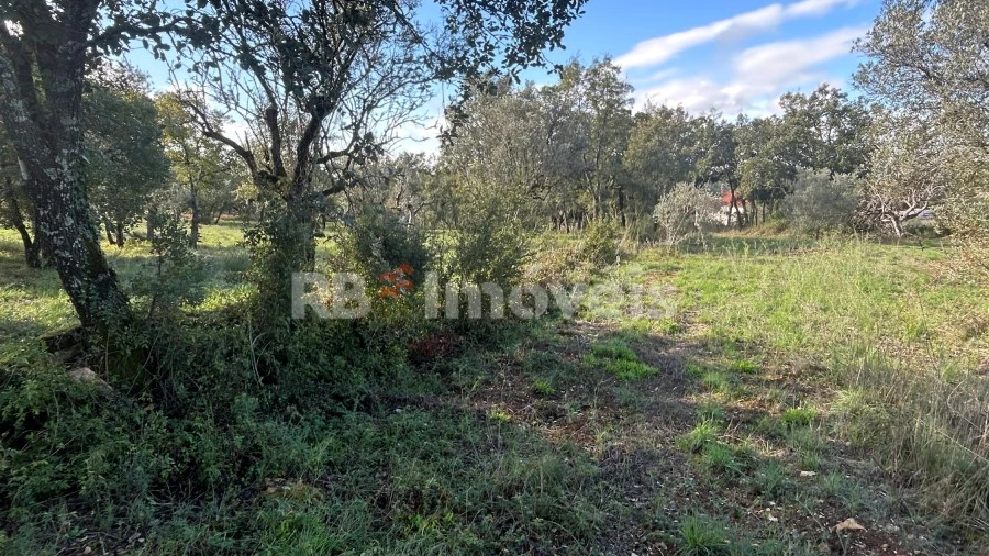 Terreno Agricola ou Rústico para Venda em Além da Ribeira e Pedreira