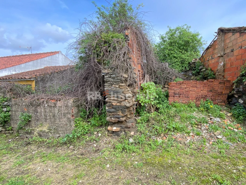 Terreno para Venda em Serra e Junceira Foto 6