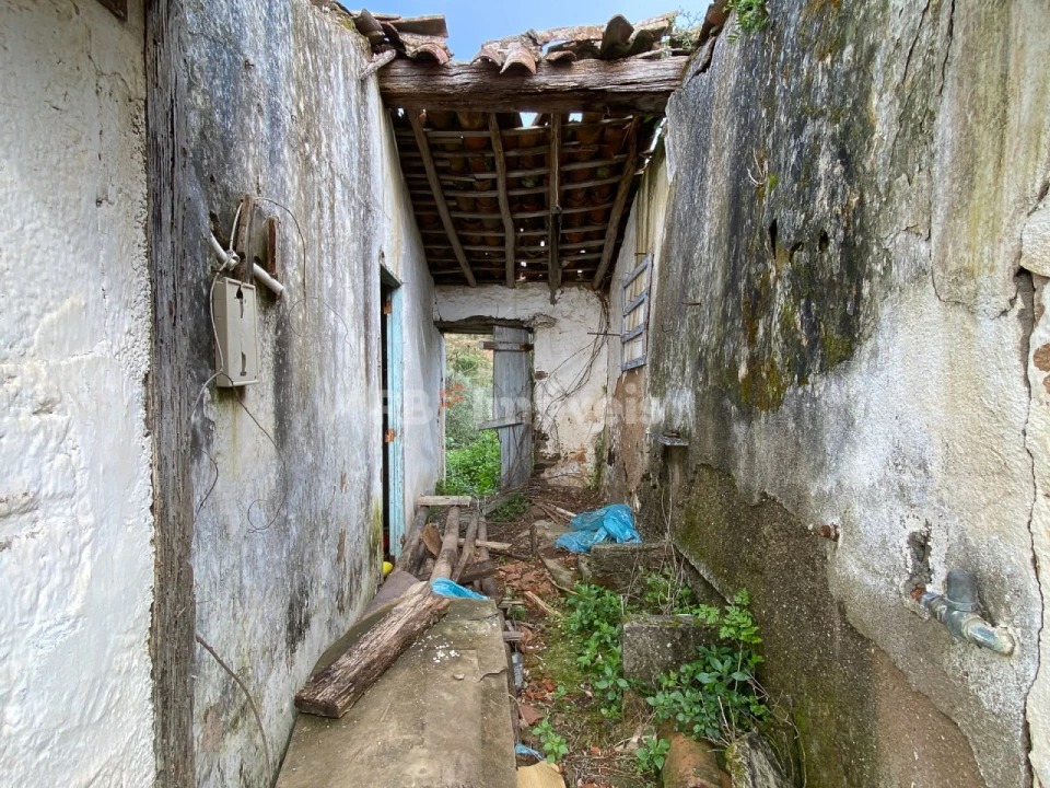Terreno para Venda em Serra e Junceira Foto 9
