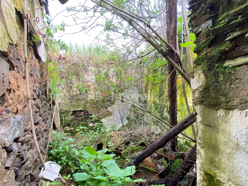 Terreno para Venda em Serra e Junceira Foto 2
