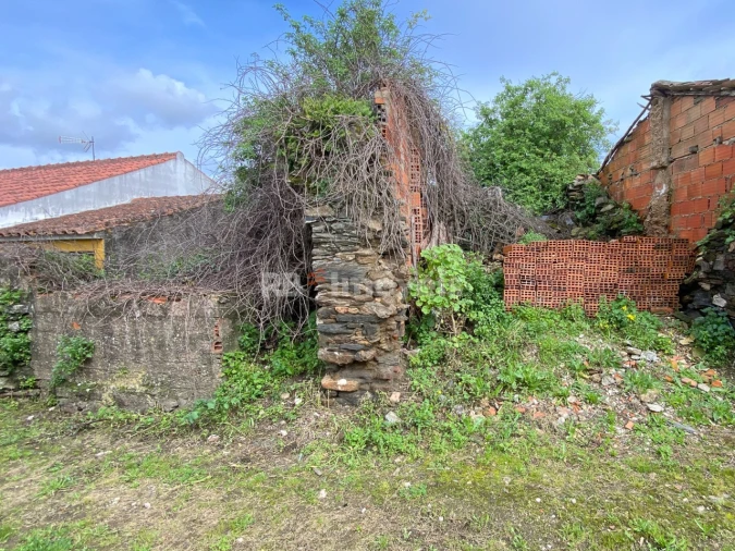 Terreno para Venda em Serra e Junceira Foto 6