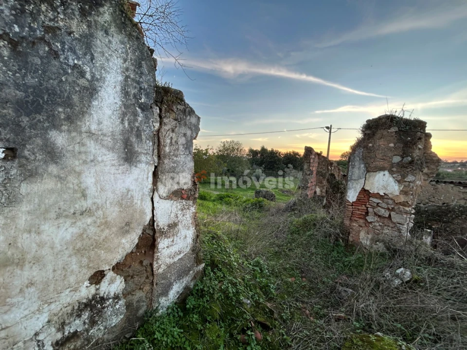 Terreno para Venda em São Pedro de Tomar Foto 8