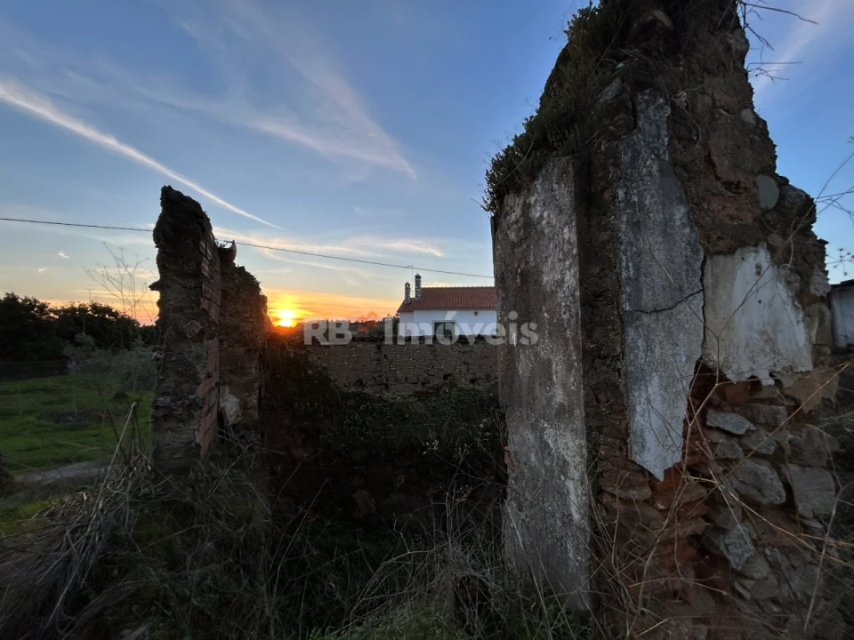 Terreno para Venda em São Pedro de Tomar Foto 9