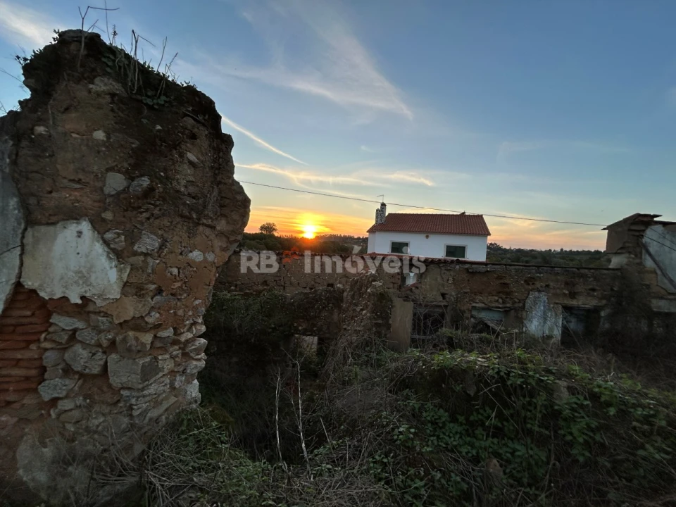 Terreno para Venda em São Pedro de Tomar Foto 10