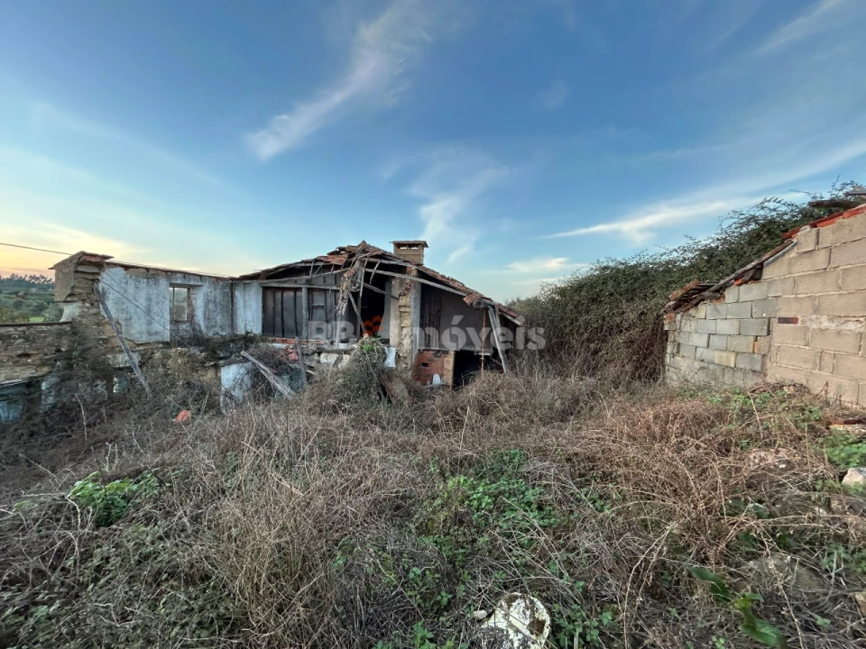 Terreno para Venda em São Pedro de Tomar Foto 5