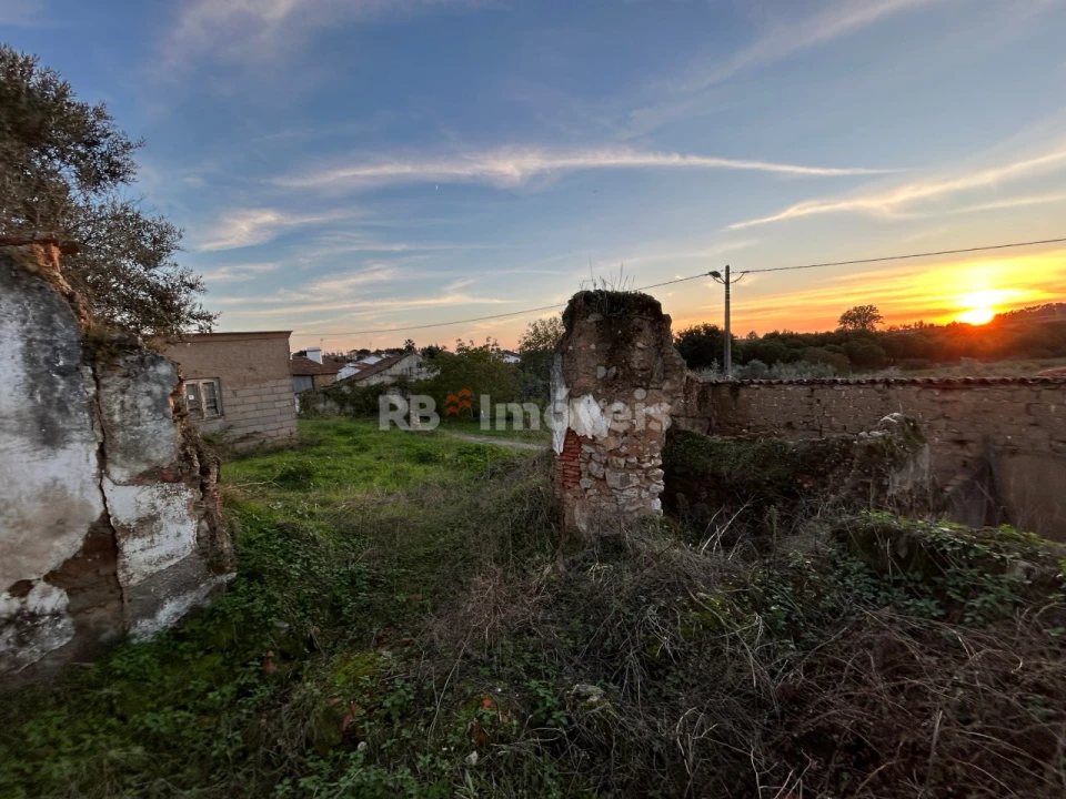 Terreno para Venda em São Pedro de Tomar Foto 14