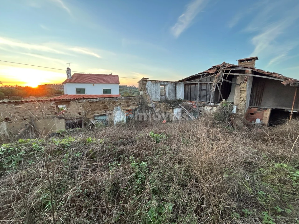 Terreno para Venda em São Pedro de Tomar Foto 16