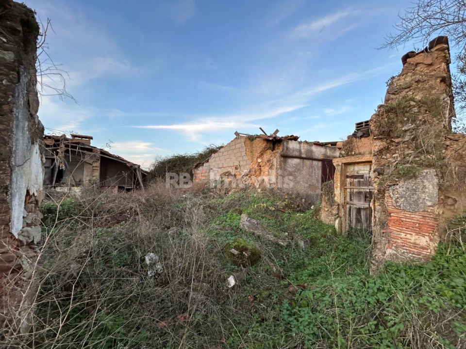 Terreno para Venda em São Pedro de Tomar Foto 19