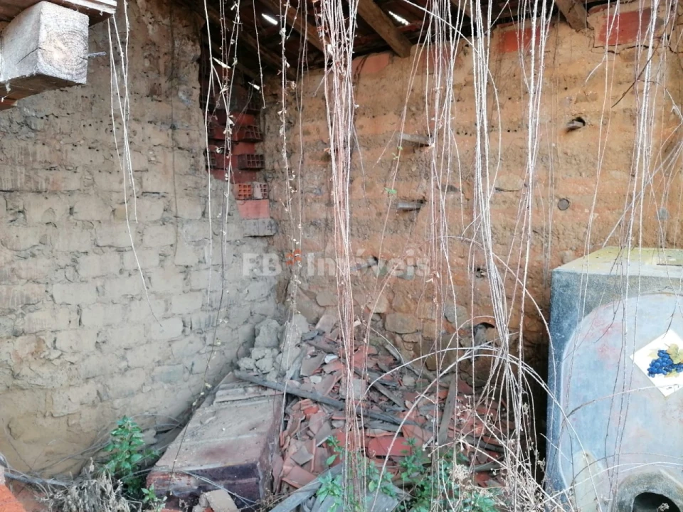 Terreno para Venda em São Pedro de Tomar Foto 24