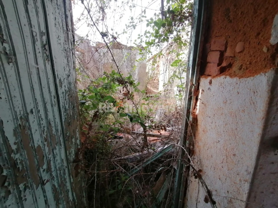Terreno para Venda em São Pedro de Tomar Foto 27