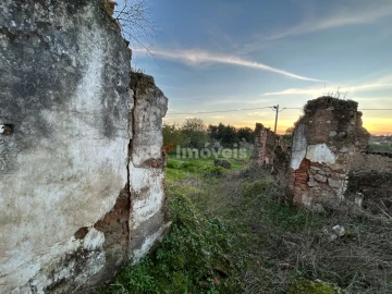 Terreno para Venda em São Pedro de Tomar
