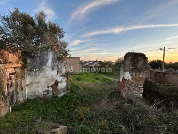 Terreno para Venda em São Pedro de Tomar