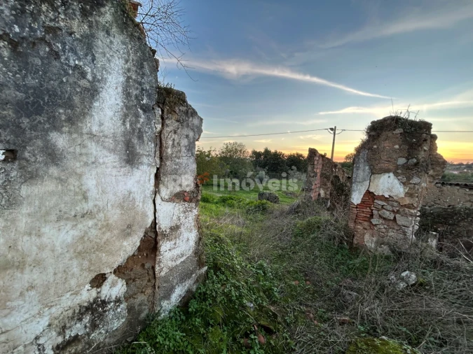 Terreno para Venda em São Pedro de Tomar Foto 8