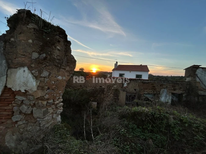 Terreno para Venda em São Pedro de Tomar Foto 10