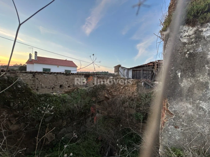 Terreno para Venda em São Pedro de Tomar Foto 17