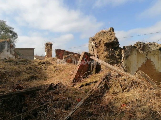 Terreno para Venda em São Pedro de Tomar Foto 20