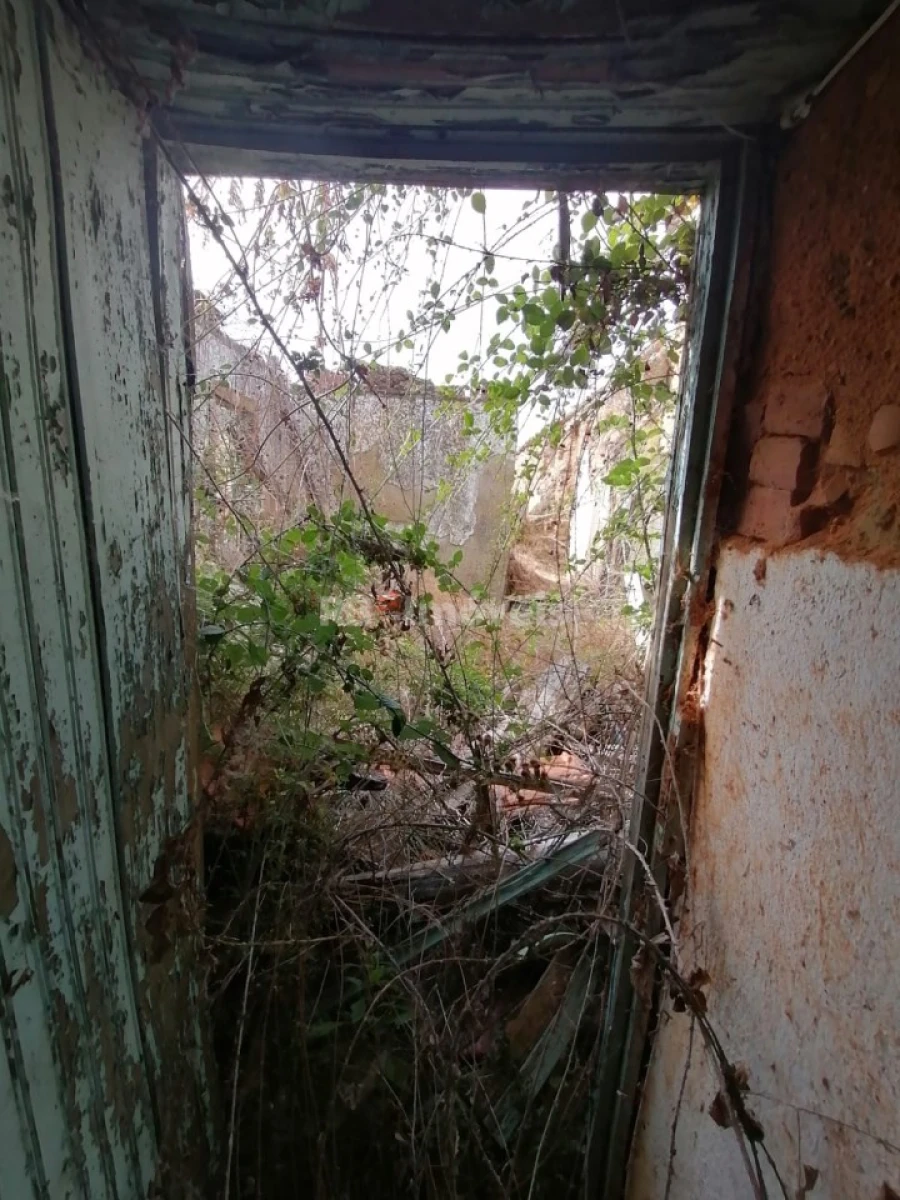 Terreno para Venda em São Pedro de Tomar Foto 26