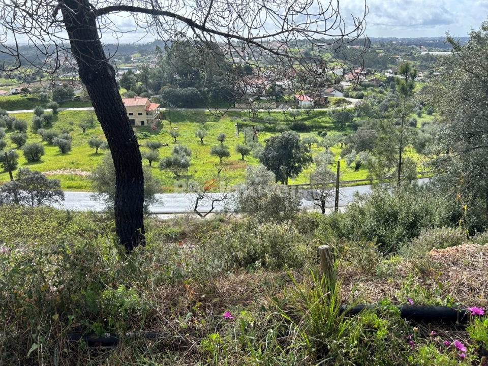 Armazém para Venda em Assentiz Foto 23