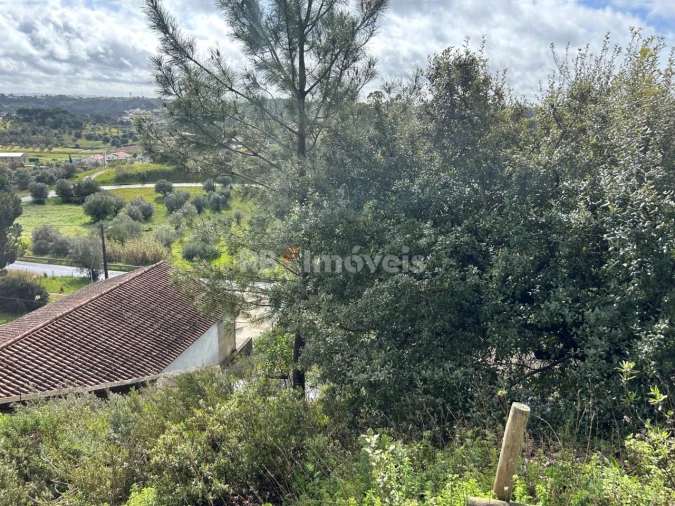 Armazém para Venda em Assentiz Foto 21