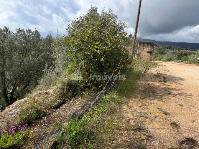 Armazém para Venda em Assentiz Foto 22