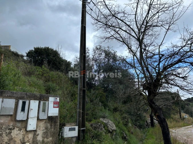 Armazém para Venda em Assentiz Foto 24