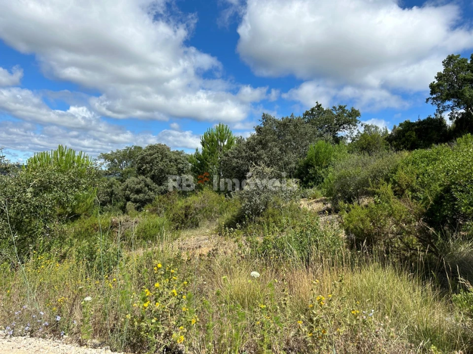 Terreno para Venda em Madalena e Beselga Foto 20