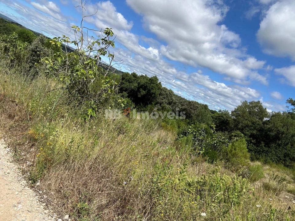 Terreno para Venda em Madalena e Beselga Foto 22