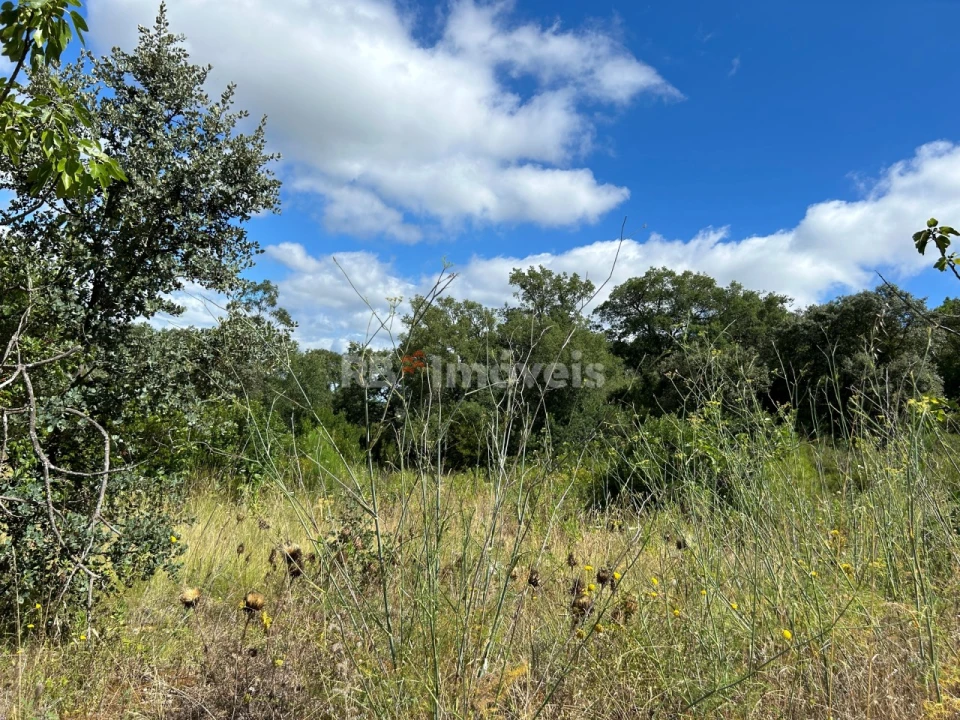 Terreno para Venda em Madalena e Beselga Foto 25