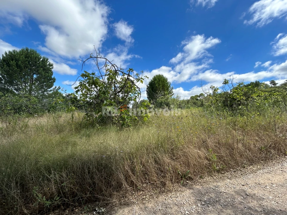 Terreno para Venda em Madalena e Beselga Foto 2