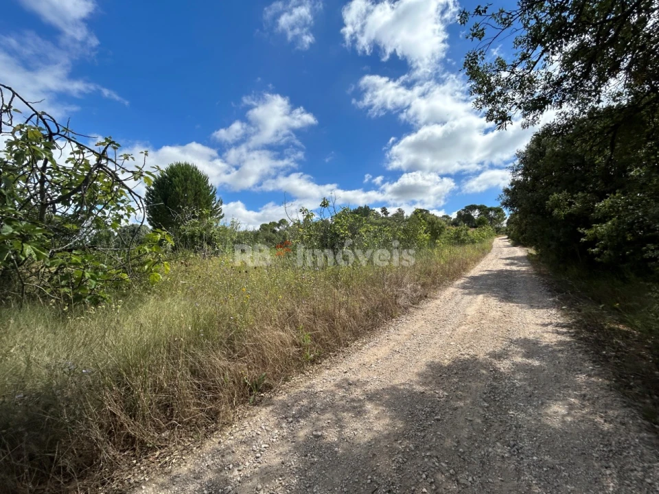 Terreno para Venda em Madalena e Beselga Foto 28