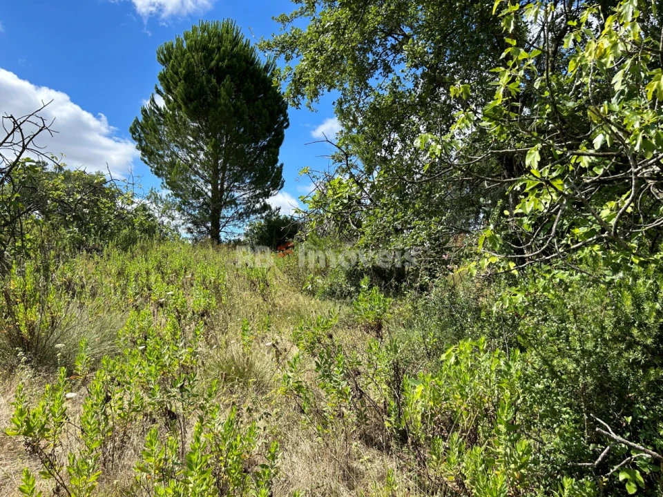 Terreno para Venda em Madalena e Beselga Foto 34