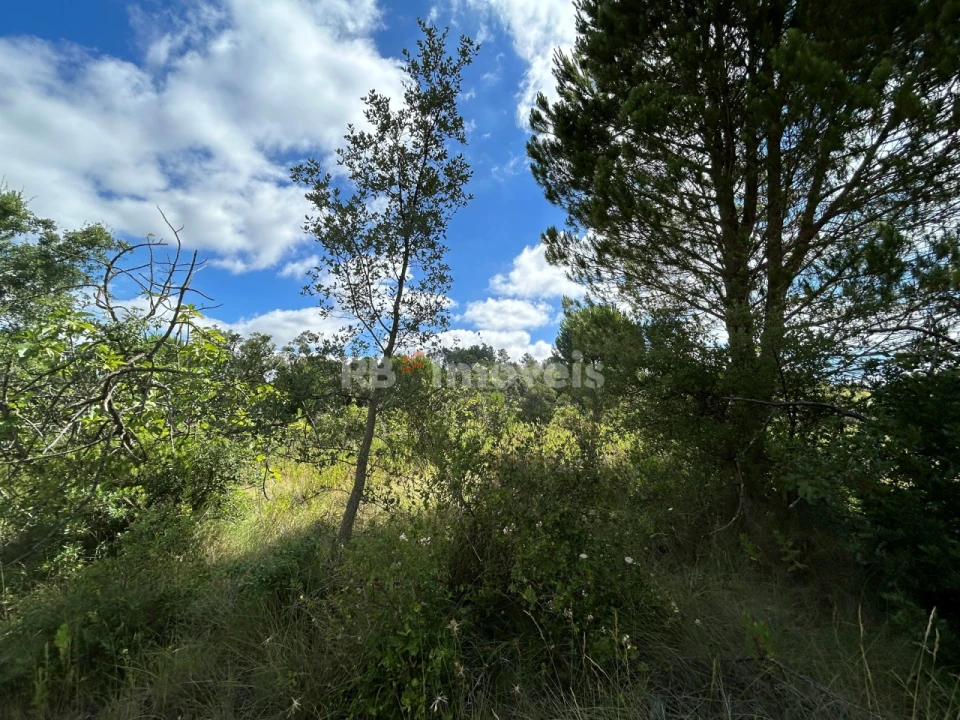 Terreno para Venda em Madalena e Beselga Foto 40