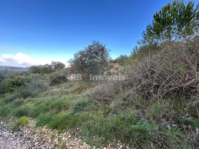 Terreno para Venda em Madalena e Beselga Foto 6