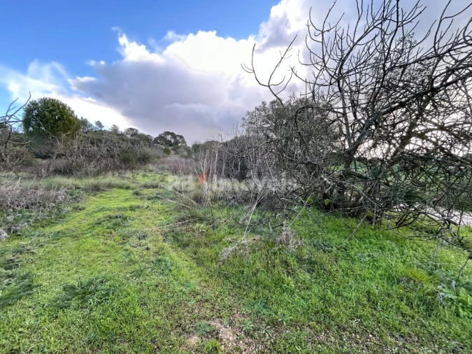 Terreno para Venda em Madalena e Beselga Foto 10