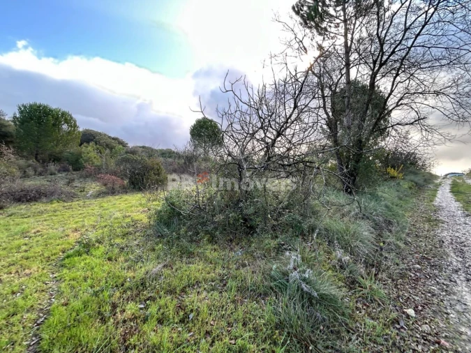 Terreno para Venda em Madalena e Beselga Foto 11
