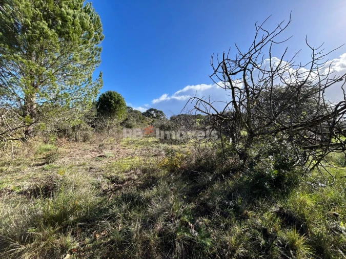 Terreno para Venda em Madalena e Beselga Foto 12