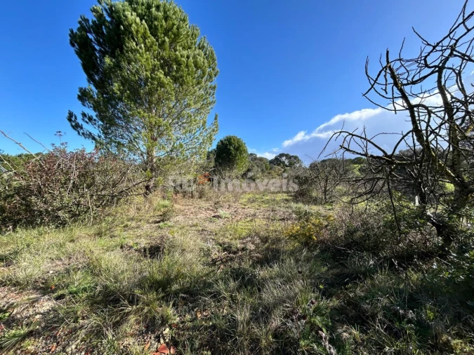 Terreno para Venda em Madalena e Beselga Foto 13