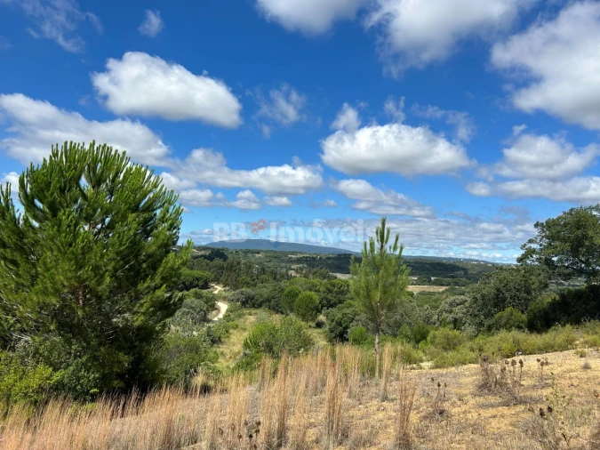 Terreno para Venda em Madalena e Beselga Foto 15